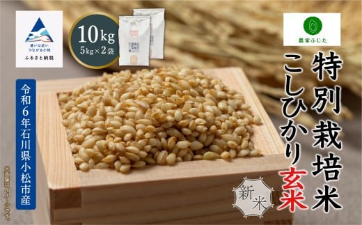 コシヒカリ 玄米 10kg 特別栽培米 令和7年産 新米 こしひかり ( 5kg ×2袋 ) コメ お米 石川県産 小松市産 【農家ふじた】