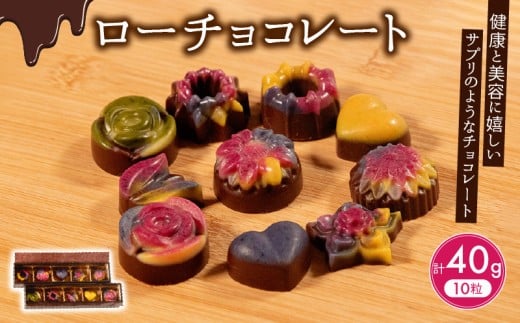 【ふるさと納税】 ローチョコレート 10個  ヴィーガン 対応 天然 植物 酵素 ビタミン ミネラル 健康 美容 チョコレート チョコ 食物繊維 10 大阪府 松原市