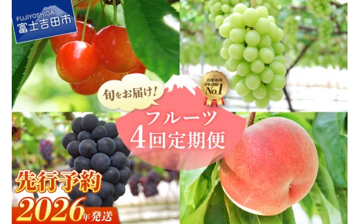 [数量限定]4回お届けフルーツ定期便 フルーツ シャインマスカット もも さくらんぼ 黒ぶどう 定期便 数量限定 山梨 富士吉田
