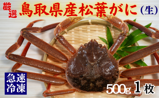 【先行予約】 年内発送 松葉がに（冷凍） 約500g 1枚｜鳥取 岩美 かに 松葉ガニ 年末年始 冷凍 生 プロトン凍結 急速冷凍【22047】