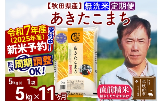 ※令和7年産 新米予約※《定期便11ヶ月》秋田県産 あきたこまち 5kg【無洗米】(5kg小分け袋) 2025年産 お届け時期選べる お届け周期調整可能 隔月に調整OK お米 みそらファーム