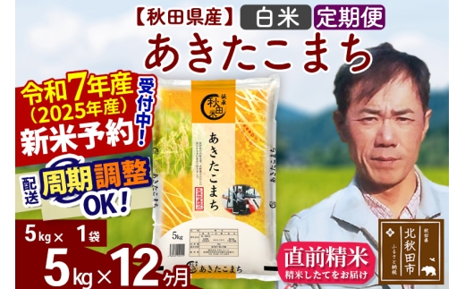 ※令和7年産 新米予約※《定期便12ヶ月》秋田県産 あきたこまち 5kg【白米】(5kg小分け袋) 2025年産 お届け時期選べる お届け周期調整可能 隔月に調整OK お米 みそらファーム
