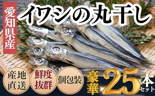 [大好評!]脂の乗ったいわしの丸干し 25本セット いわし 干物 夕食 晩ごはん 料理 簡単料理 調理 お手軽 コメ に合う お米に合う 南知多 愛知