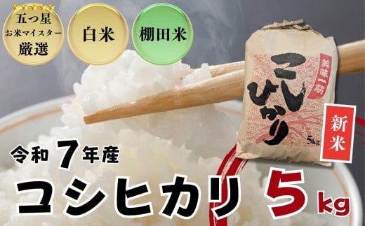 ≪令和７年産新米≫佐賀県産 コシヒカリ 白米5㎏ / 大塚米穀店［A0194-0019］