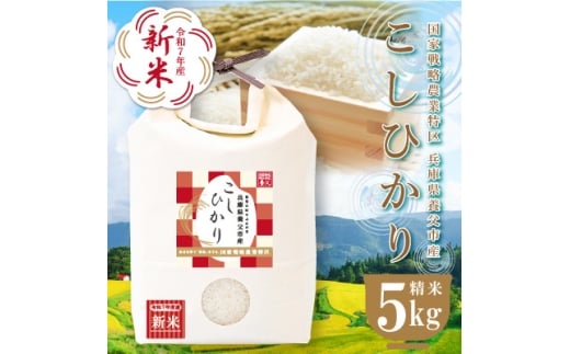 農業特区兵庫県養父市産こしひかり5kg【1666285】