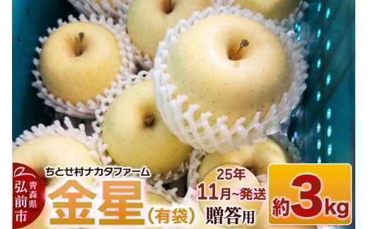 [25年11月発送]りんご[贈答用]金星(有袋)約3kg[レビューキャンペーン]