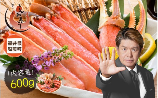【最短発送】 カット済み 生ずわい蟹 約600g 【お手軽 生食可 蟹 カニ かに 冷凍】 [e70-a003_00] 1442295 - 福井県越前町