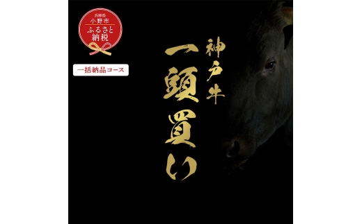【和牛セレブ】神戸牛一頭分のセレブ体験（一括納品コース）/ 神戸ビーフ BBQ 牛肉 冷凍 ブランド牛 兵庫県 小野市 2294243 - 兵庫県小野市