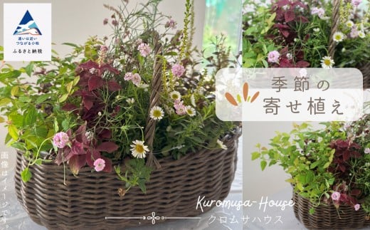 季節の寄せ植え[籐籠]