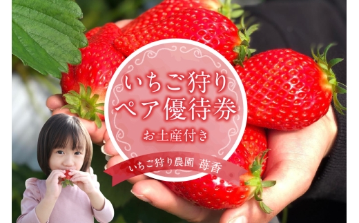 いちご狩り優待券（ペア）（3213） 2292330 - 愛知県知立市