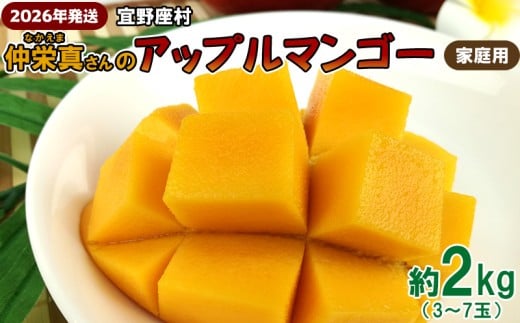 【2026年発送】宜野座村　仲栄真さんのアップルマンゴー家庭用（約2kg） アーウィン 果物 甘い 夏 濃厚 お取り寄せ Mango ランキング 完熟 お気に入り 美味しい 人気 おすすめ フルーツ 沖縄県 先行予約 食品 デザート 産地直送 送料無料 1164837 - 沖縄県宜野座村