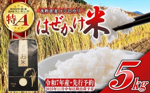 [令和7年産・白米5kg]長野県産こしひかり はぜかけ米(2025年11月中旬頃〜順次発送/北海道・沖縄県・離島は配送不可)精米 産地直送 信州 長野県 佐久市 美味しい 先行予約 新米 新米予約 うるち米