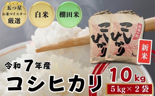 ≪令和７年産新米≫佐賀県産 コシヒカリ 白米10㎏（5㎏×2袋）/ 大塚米穀店［A0194-0020］