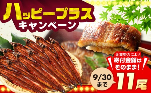 福岡県産 うなぎ 蒲焼 大 11尾　計1,760g（1尾あたり 160g以上）《豊前市》【福岡養鰻】 国産 鰻 ウナギ 蒲焼き [VAD026]