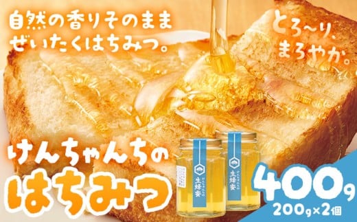 けんちゃんちのはちみつ 200g 2個セット《30日以内に出荷予定（土日祝除く）》ふるさと納税 はちみつ ハチミツ 蜂蜜 国産蜂蜜 天然蜜蜂 徳島県 佐那河内村 送料無料