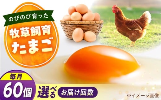 天心山　たまご60個　【回数が選べる定期便】卵 たまご 高級 食品 たまごかけご飯 卵かけご飯 卵焼き 生卵 濃厚 ケーキ お菓子 づくり ランキング 上位 人気 おすすめ 定期便　広島県福山市/天心山ファーム [BABW038]