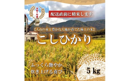 1804.令和7年産　こしひかり　5kg