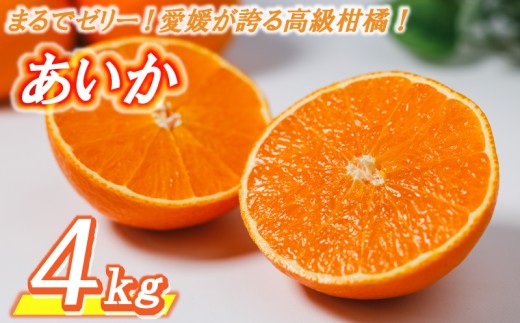 【数量限定】 高級 みかん あいか 4kg ＜11月中旬〜発送＞ 愛果28号 愛媛果試第28号 紅まどんな と同品種 まどんな 柑橘 柑橘類 産地直送 フルーツ 果物 くだもの 人気 おすすめ 愛媛県 松山市