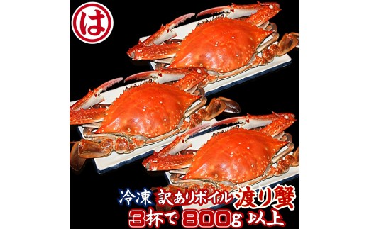【豊漁期間限定】【数量限定】【冷凍】『訳あり』ボイル渡り蟹！！3杯で800g以上サイズセット ワタリガニ 渡り蟹 渡蟹 愛知県 南知多 2296210 - 愛知県南知多町