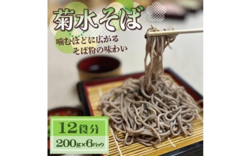 菊水そば　12食分 (200g×6パック) 　お祝いやギフトにもオススメ、小分けになった生そば【1668567】