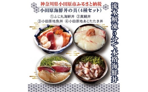 [曽我の梅干し、小田原地あじ、小田原港直送地魚丼]小田原海鮮丼の具(4種セット)[ふじ丸海鮮丼 小田原地魚丼 小田原地あじたたき丼 国産活〆真鯛入り酒仕込み 流水解凍5分で海鮮丼 海鮮丼セット 神奈川県 小田原市 ]