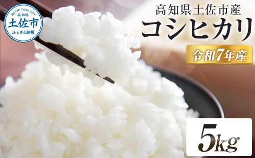 コシヒカリ 令和7年産 5kg 5キロ 精米 白米 お米 ご飯 ごはん 米 kome こめ こしひかり 高知県産 国産 お取り寄せ 常温 高知県 高知 土佐市