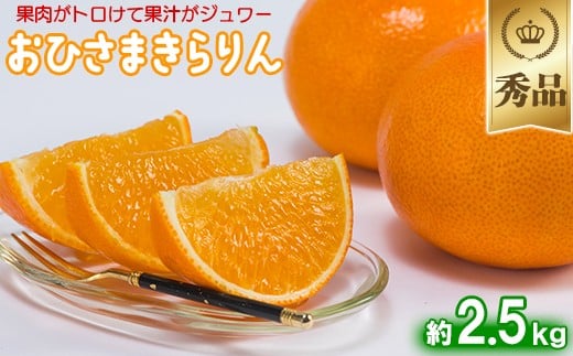 今村農園のおひさまきらりん 約2.5kg【秀品】  甘い オレンジ みかん ミカン 清美 2.5kg 12月発送 1月発送 先行予約 贈答 柑橘類 フルーツ ＜107-024_6＞ 213655 - 大分県杵築市