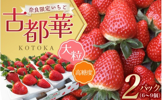 （冷蔵）大粒 古都華 イチゴ ２パック ／ 寺田農園 希少 プレミアム 高糖度 酸味 バランスの良い 苺 奈良県 葛城市【trdf001】