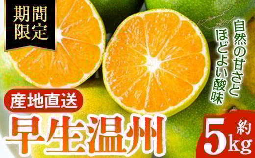 i985 《先行予約受付中！2025年10月上旬から発送予定》早生温州 (5kg) 数量限定 みかん 柑橘 果物 くだもの フルーツ 旬 温州みかん ミカン オレンジ 早生 【アーステクノ】