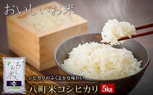 【令和7年産】八町米 コシヒカリ５Kg　米 お米 白米 産地直送 農家直送 精米 美味しい 711322 - 富山県富山市