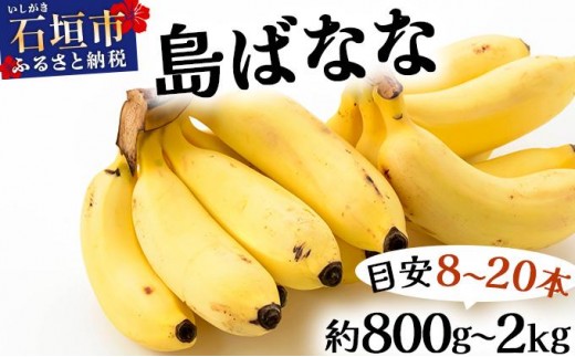 石垣島産 プレミアム島ばなな [選べる容量][2025年発送][2026年発送 先行予約]1房丸ごとお届け!! 800g〜2kg(約8〜20本)