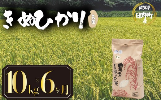 【 令和7年産 新米 10kg 定期便 6ヶ月 】 きぬひかり 米 玄米 国産 滋賀県 日野町 農家直送 お米 おこめ こめ 産地直送 ふるさと納税