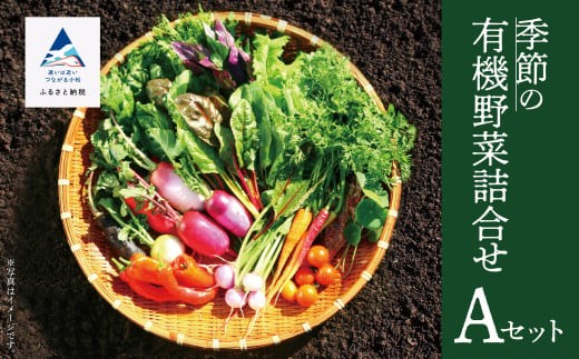 西田農園 季節の有機野菜詰合せ Aセット 野菜食べ比べ 旬の野菜 野菜セット オーガニック野菜 有機栽培 石川県 小松市 