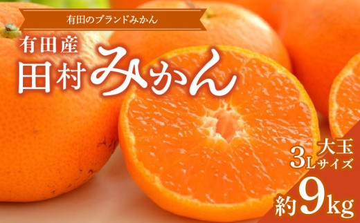 [ふるさと納税][2025年先行予約] 数量限定 田村みかん 約 9kg 3Lサイズ 大玉 等級 混合 国産 ブランドみかん 大玉みかん みかん 柑橘 果物 果実 濃厚 フルーツ デザート 食品 食べ物 お取り寄せ お取り寄せフルーツ 和歌山県 湯浅町 送料無料