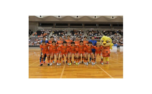 【11月8日開催】シュライカー大阪ホームゲーム （岸和田市総合体育館） 観戦チケット 1名分＋【グッズ】マフラータオル付き Fリーグ フットサルチケット [№5385-1184]