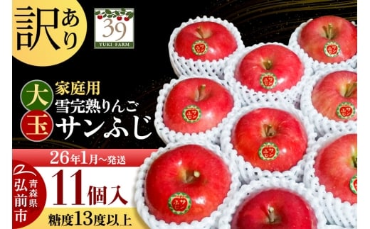 【26年1月～発送】りんご 【 数量限定 】訳あり 雪完熟 家庭用 糖度13度以上 大玉 サンふじ 11個入り【レビューキャンペーン】