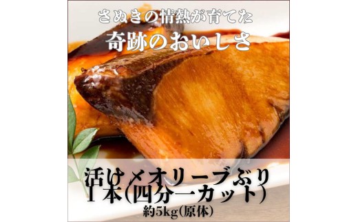 活け〆オリーブぶり1本(四分一カット)[12月頃から出荷開始!]