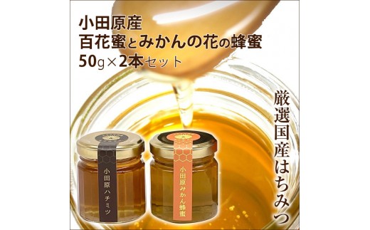 小田原産50ｇ2本セット（百花蜜とみかんの花の蜂蜜）〈箱根ジオパークラベル〉【はちみつ ハチミツ 蜂蜜 家庭用 自宅用 贈答品 贈答用 ギフト お取り寄せ 御中元 お中元 お歳暮 父の日 母の日 贈り物 みかん蜂蜜 百花蜜 季節の蜂蜜 神奈川県 小田原市 】 2292650 - 神奈川県小田原市