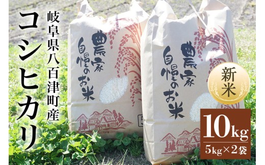 米【令和7年度米】八百津町産コシヒカリ！ 10kg　数量限定(459) 1297176 - 岐阜県八百津町