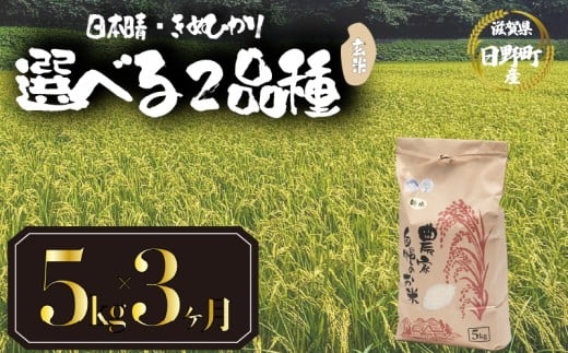 [ 令和7年産 新米 5kg 定期便 3ヶ月 ] 選べる 品種 日本晴 きぬひかり 米 玄米 2025年産 にほんばれ キヌヒカリ 国産 滋賀県 日野町 農家直送 お米 おこめ こめ 産地直送 ふるさと納税