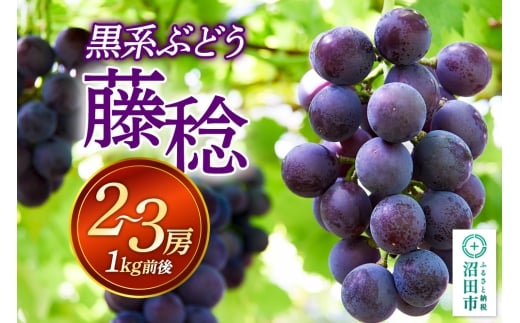 沼田市産 ぶどう 藤稔 2～3房（1kg前後）