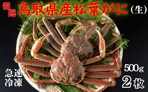 【先行予約】 年内発送 松葉がに（冷凍） 約500g 2枚｜鳥取 岩美 かに 松葉ガニ 年末年始 冷凍 生 プロトン凍結 急速冷凍【22048】
