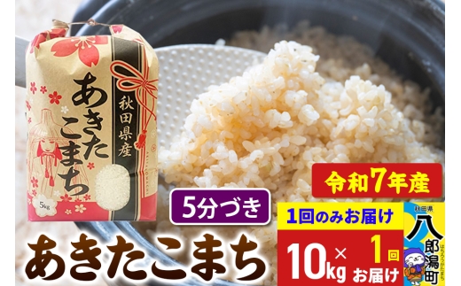【新米】 あきたこまち 10kg【5分づき】令和7年産 秋田県産 こまちライン 1685772 - 秋田県八郎潟町