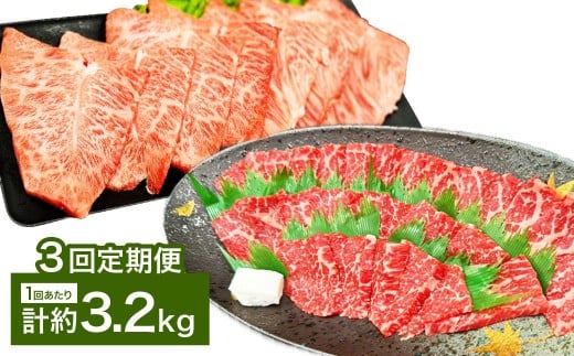 【3カ月定期便】 【赤身 VS ミスジ 食べ比べ！】 おおいた和牛 赤身焼肉・ミスジ焼肉 約3.2kg×3回 計約9.6kg