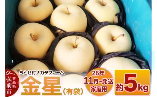 【25年11月発送】りんご【家庭用】金星（有袋）約5kg【レビューキャンペーン】