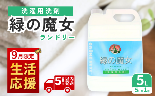【9月限定】液体洗剤 緑の魔女 ランドリー 5L (5L×1本) |  液体洗剤 洗濯洗剤 洗濯液体洗剤 液体洗濯洗剤 衣類用洗剤 パイプ パイプクリーナー 排水口 環境配慮 植物由来 天然素材 ヤシ油 エコ 環境にやさしい 油汚れ 皮脂 皮脂汚れ 詰替え つめかえ 詰め替え大容量 大容量用キャップ付き 除菌 防臭 お歳暮 ギフト 洗浄力 茨城県 龍ケ崎市
