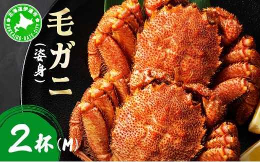 毛ガニ（姿身）Mサイズ 2尾 ogm-016 2289036 - 北海道伊達市