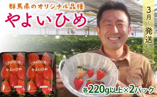 群馬県産いちごセット＜やよいひめ2パック＞【2026年3月1日〜5月15日発送】(各220g以上×2パック) いちご やよいひめ 群馬県産 オリジナル品種 苺 イチゴ セット 詰合せ 果物 フルーツ 食品 F21E-494 2296394 - 群馬県富岡市