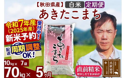 ※令和7年産 新米予約※《定期便5ヶ月》秋田県産 あきたこまち 70kg【白米】(10kg袋) 2025年産 お届け時期選べる お届け周期調整可能 隔月に調整OK お米 みそらファーム