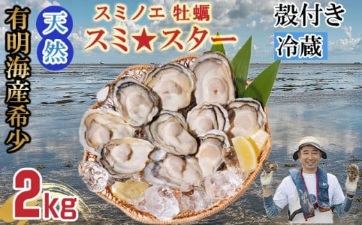 【2月配送】【先行予約】天然 有明海産「冷蔵スミノエ牡蠣」スミ☆スター2Kg 殻付き牡蠣 はしま海苔